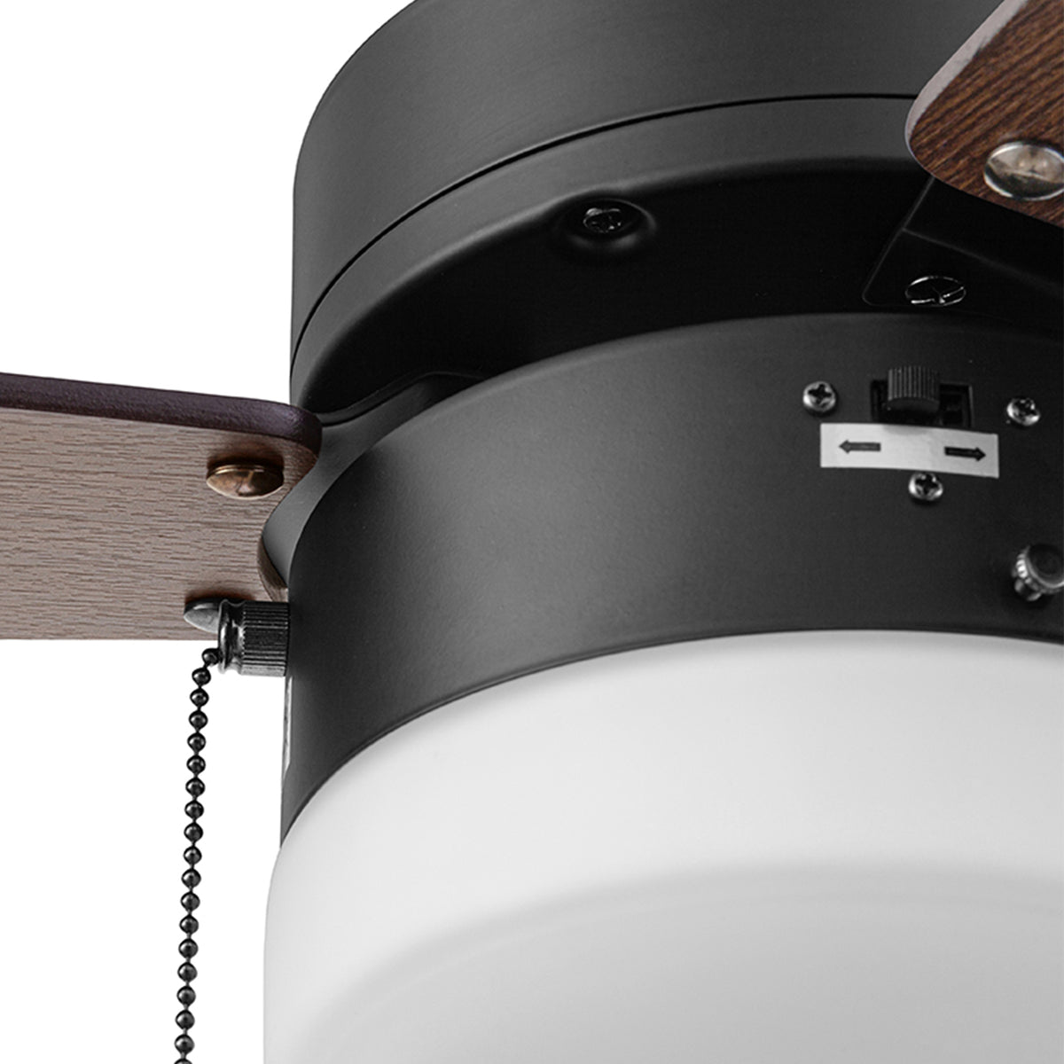 Eliseo LED